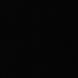 Meet your Posher, Jackson